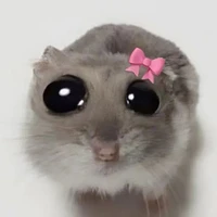 แอดค้าบบ