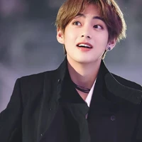 Kim vincent/Enigma/taekook son