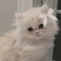 Kéni