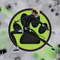 cat noir