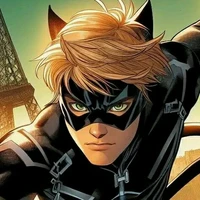 cat noir