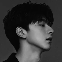 Lin yi