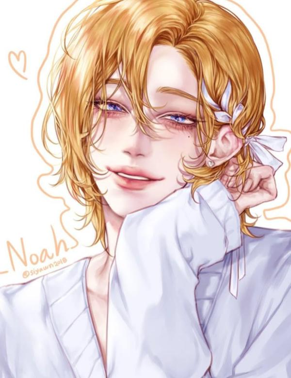 NovelToon