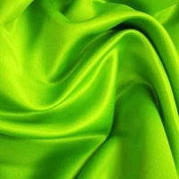 P-GreenZone