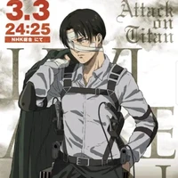 Levi