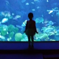 ลาเต้(ไรท์เอง)