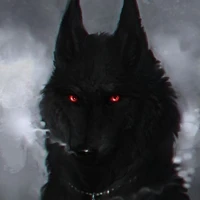 black (lobo de hyunjin)
