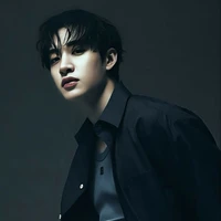 bang Chan (Christopher)