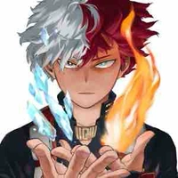 Shoto Todoroki 