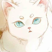 Gatinho