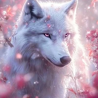 Jessy Allen |•lobo•|