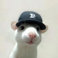 Tikus Anak-Anak | VICKY