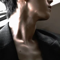 สิงห์[พอ.ในนิยาย]