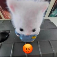 แอดเอง