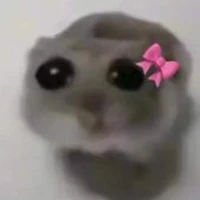 ☆~ 𝐚𝐮𝐭𝐨𝐫𝐚 ~☆