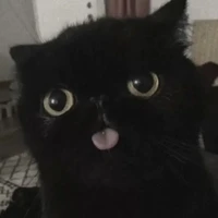 pebble