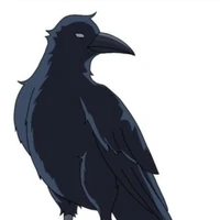 corvo