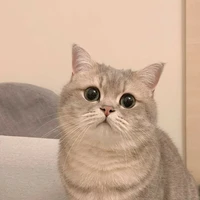 แคนดี้