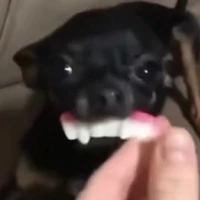 eu