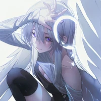 Avera (Y/n)
