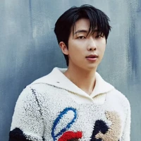 namjoon ( alfa dominante)