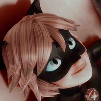 Cat Noir