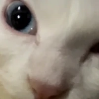แอดเอง