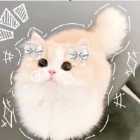 พนักงาน