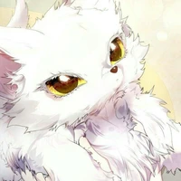 ember(gata)
