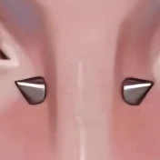 ☆_☆