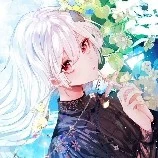 Lily(Amy)