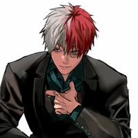 Shoto todoroki