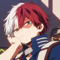 todoroki❄🔥