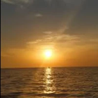 ALL