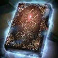 Buku Api Phoenix