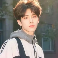 ดาวเหนือ