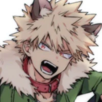 Katisuki Bakugo