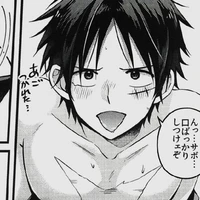 Monkey D. Luffy             Omega P.