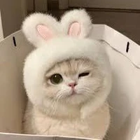 ฟีฟ่า 😺😖