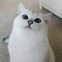 Nala