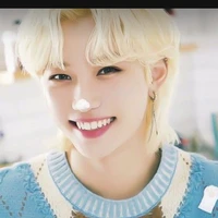 lee felix~