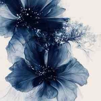 Autrice 