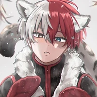 🧊🔥todoroki+B,D+🧊🔥