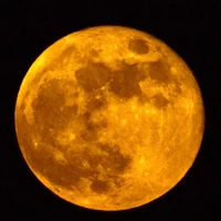 _.luxury_moon._