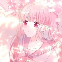 Akari