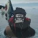 Kisame