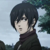 Mikasa