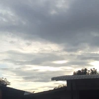 แอดเอง