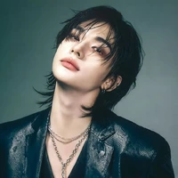 hyunjin(D)