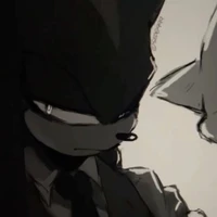 𖠗 🍷 ꞋꞌꞋ Shadow🩸 𓄹 . ִ ֗